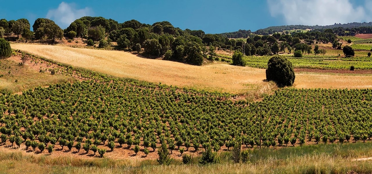 Guided winery tour at Dominio de Cair